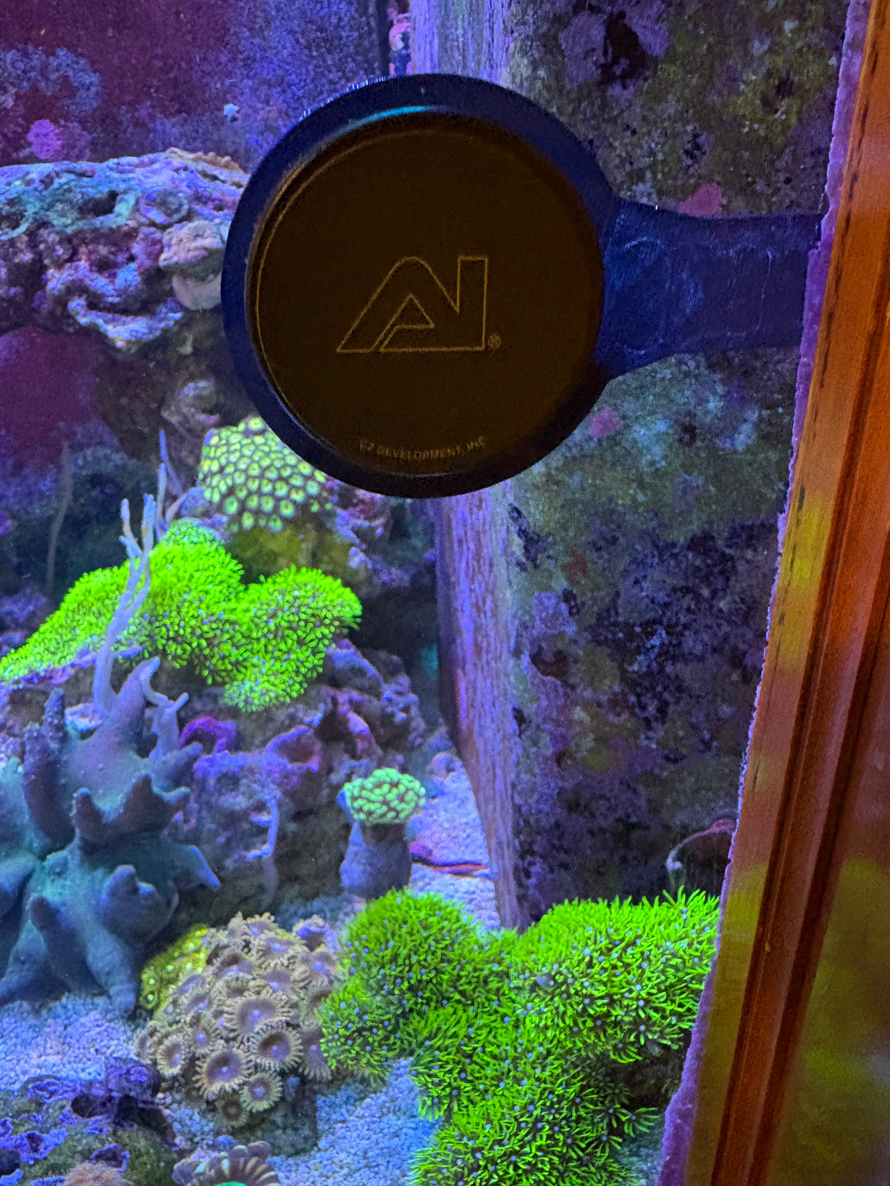 Nero 3 In-Tank 90° Mount – Tight Space Powerhead Holder – Reef-Safe | Cox Marine Creations